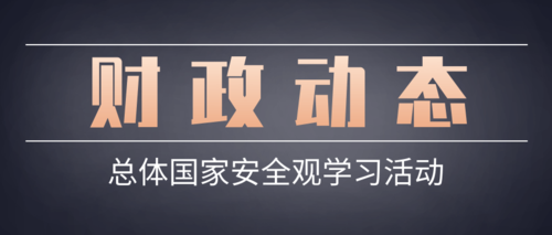 总体国家安全观学习活动.png